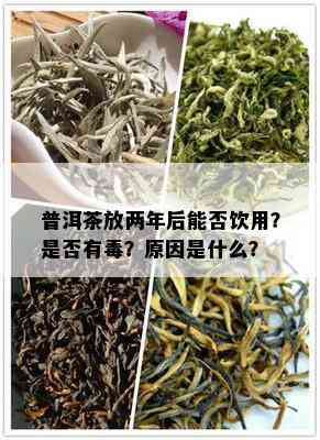 普洱茶放两年后能否饮用？是否有？原因是什么？