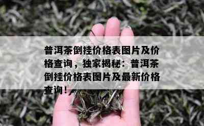 普洱茶倒挂价格表图片及价格查询，独家揭秘：普洱茶倒挂价格表图片及最新价格查询！