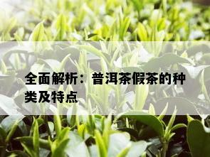 全面解析：普洱茶假茶的种类及特点