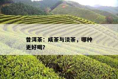 普洱茶：咸茶与淡茶，哪种更好喝？