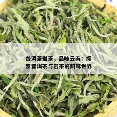 普洱茶岩茶，品味云南：探索普洱茶与岩茶的韵味世界