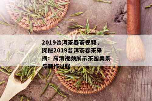 2019普洱茶春茶视频，探秘2019普洱茶春茶采摘：高清视频展示茶园美景与制作过程