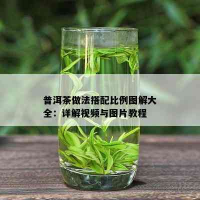 普洱茶做法搭配比例图解大全：详解视频与图片教程