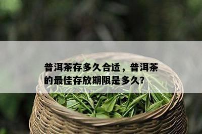 普洱茶存多久合适，普洱茶的更佳存放期限是多久？