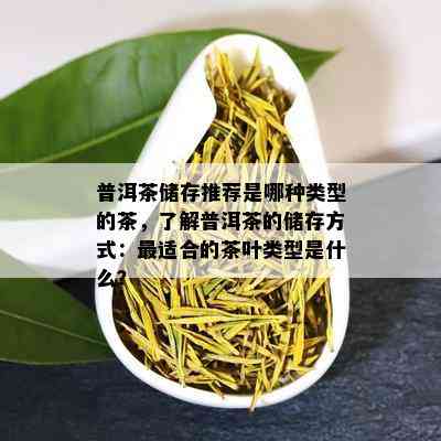 普洱茶储存推荐是哪种类型的茶，了解普洱茶的储存方式：最适合的茶叶类型是什么？