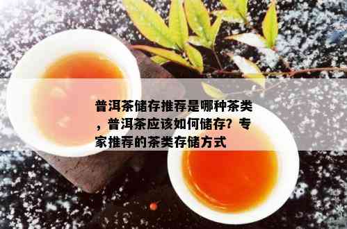 普洱茶储存推荐是哪种茶类，普洱茶应该如何储存？专家推荐的茶类存储方式