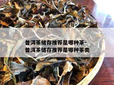 普洱茶储存推荐是哪种茶-普洱茶储存推荐是哪种茶类