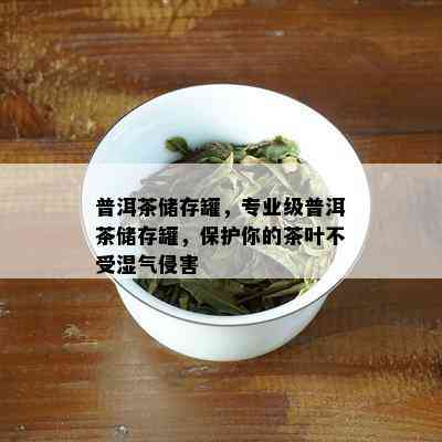 普洱茶储存罐，专业级普洱茶储存罐，保护你的茶叶不受湿气侵害