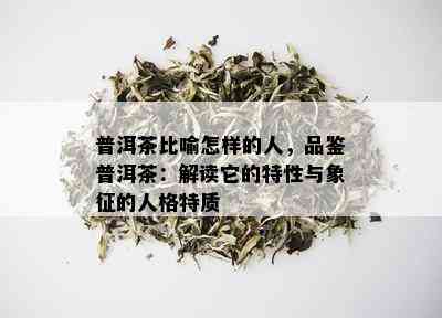 普洱茶比喻怎样的人，品鉴普洱茶：解读它的特性与象征的人格特质