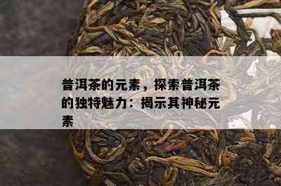 普洱茶的元素，探索普洱茶的独特魅力：揭示其神秘元素