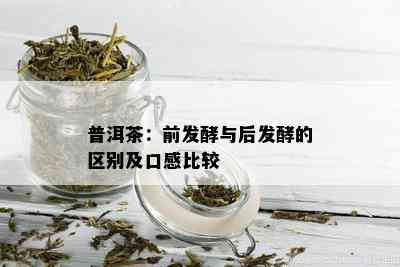 普洱茶：前发酵与后发酵的区别及口感比较