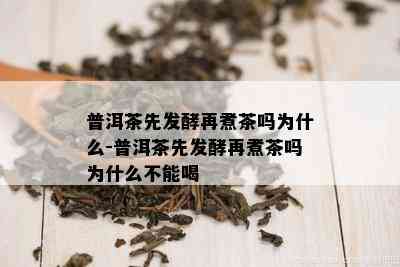 普洱茶先发酵再煮茶吗为什么-普洱茶先发酵再煮茶吗为什么不能喝