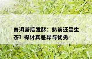 普洱茶后发酵：熟茶还是生茶？探讨其差异与优劣