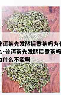 普洱茶先发酵后煮茶吗为什么-普洱茶先发酵后煮茶吗为什么不能喝