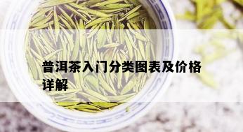 普洱茶入门分类图表及价格详解