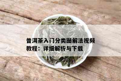 普洱茶入门分类图解法视频教程：详细解析与下载