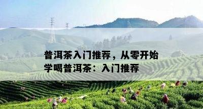 普洱茶入门推荐，从零开始学喝普洱茶：入门推荐