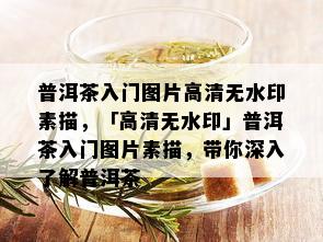 普洱茶入门图片高清无水印素描，「高清无水印」普洱茶入门图片素描，带你深入了解普洱茶