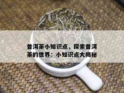 普洱茶小知识点，探索普洱茶的世界：小知识点大揭秘