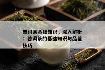 普洱茶基础知识，深入解析：普洱茶的基础知识与品鉴技巧