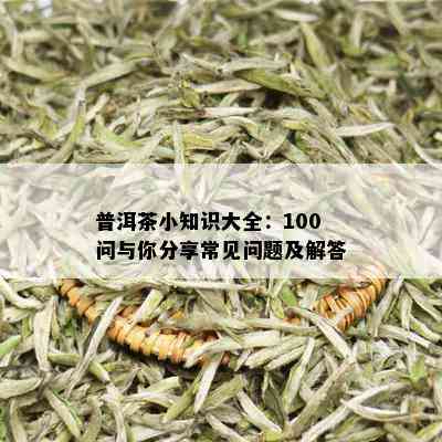 普洱茶小知识大全：100问与你分享常见问题及解答