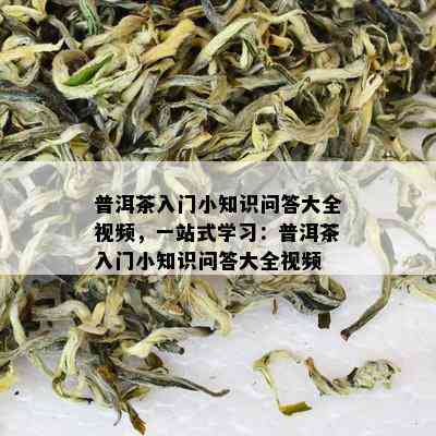 普洱茶入门小知识问答大全视频，一站式学习：普洱茶入门小知识问答大全视频