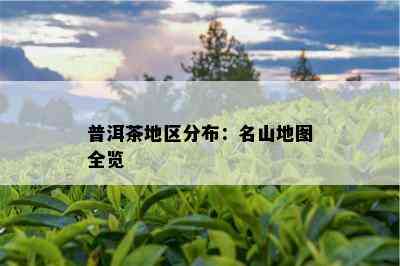 普洱茶地区分布：名山地图全览