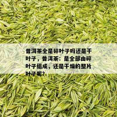 普洱茶全是碎叶子吗还是干叶子，普洱茶：是全部由碎叶子组成，还是干燥的整片叶子呢？