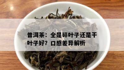 普洱茶：全是碎叶子还是干叶子好？口感差异解析