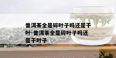 普洱茶全是碎叶子吗还是干叶-普洱茶全是碎叶子吗还是干叶子