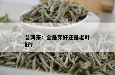 普洱茶：全是芽好还是老叶好？