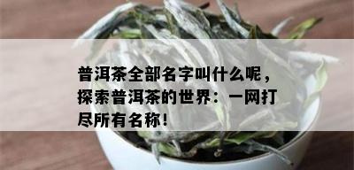 普洱茶全部名字叫什么呢，探索普洱茶的世界：一网打尽所有名称！