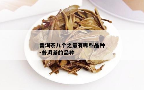 普洱茶八个之最有哪些品种-普洱茶的品种