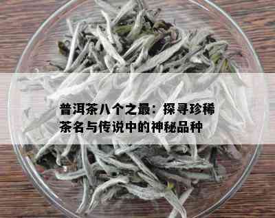 普洱茶八个之最：探寻珍稀茶名与传说中的神秘品种