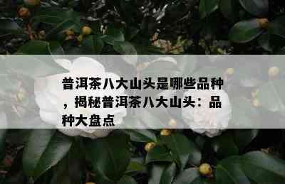 普洱茶八大山头是哪些品种，揭秘普洱茶八大山头：品种大盘点