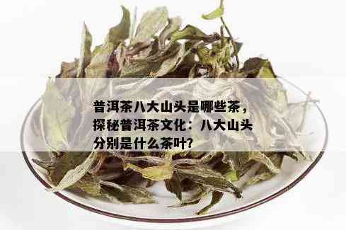 普洱茶八大山头是哪些茶，探秘普洱茶文化：八大山头分别是什么茶叶？