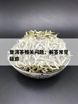 普洱茶相关问题：解答常见疑惑