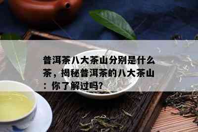 普洱茶八大茶山分别是什么茶，揭秘普洱茶的八大茶山：你了解过吗？