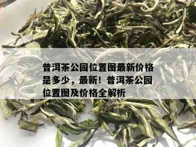 普洱茶公园位置图最新价格是多少，最新！普洱茶公园位置图及价格全解析