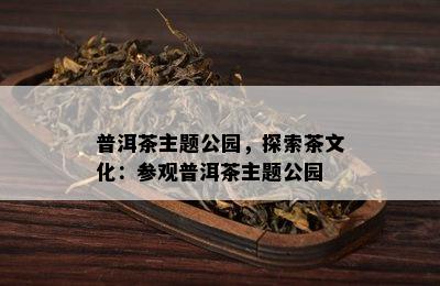 普洱茶主题公园，探索茶文化：参观普洱茶主题公园