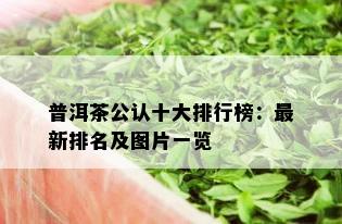 普洱茶公认十大排行榜：最新排名及图片一览