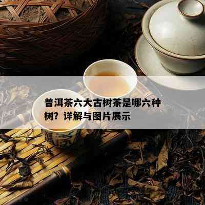 普洱茶六大古树茶是哪六种树？详解与图片展示