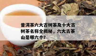 普洱茶六大古树茶及十大古树茶名称全揭秘，六大古茶山是哪六个？