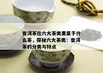 普洱茶在六大茶类里属于什么茶，探秘六大茶类：普洱茶的分类与特点