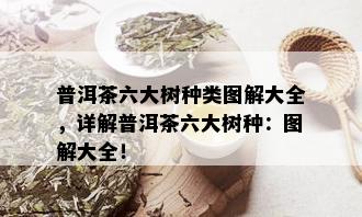 普洱茶六大树种类图解大全，详解普洱茶六大树种：图解大全！