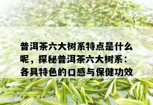 普洱茶六大树系特点是什么呢，探秘普洱茶六大树系：各具特色的口感与保健功效