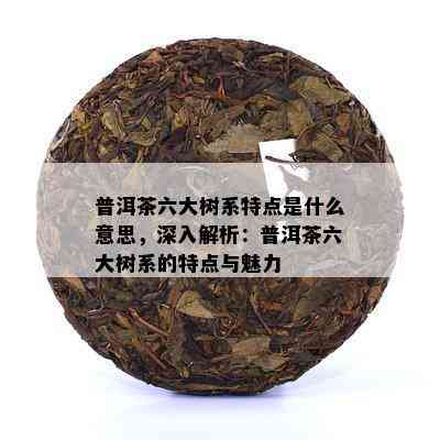 普洱茶六大树系特点是什么意思，深入解析：普洱茶六大树系的特点与魅力