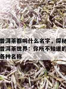 普洱茶都叫什么名字，探秘普洱茶世界：你所不知道的各种名称