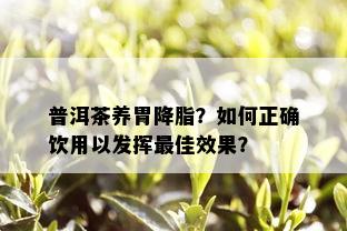 普洱茶养胃降脂？如何正确饮用以发挥更佳效果？