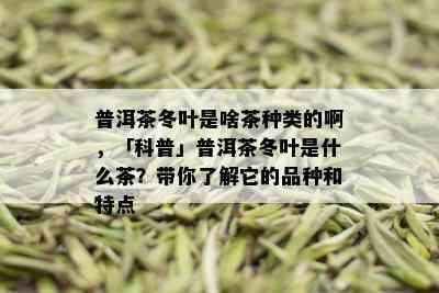 普洱茶冬叶是啥茶种类的啊，「科普」普洱茶冬叶是什么茶？带你了解它的品种和特点